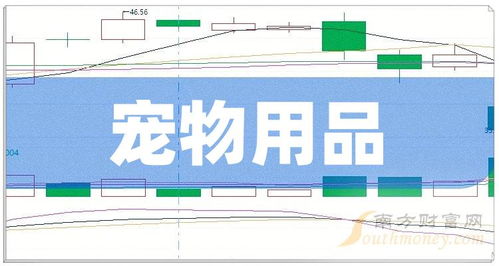 寵物經(jīng)濟(jì)浪潮中的領(lǐng)跑者 2024年寵物用品上市龍頭企業(yè)盤(pán)點(diǎn)